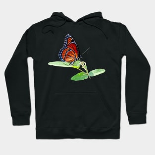 Viceroy Butterfly Hoodie